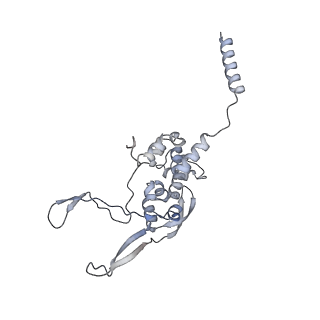 11392_6zsb_XX_v4-1
Human mitochondrial ribosome in complex with mRNA and P-site tRNA