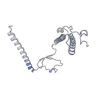 11392_6zsb_XY_v4-1
Human mitochondrial ribosome in complex with mRNA and P-site tRNA