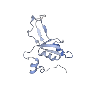 11392_6zsb_XZ_v1-1
Human mitochondrial ribosome in complex with mRNA and P-site tRNA
