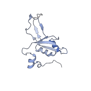11392_6zsb_XZ_v2-0
Human mitochondrial ribosome in complex with mRNA and P-site tRNA