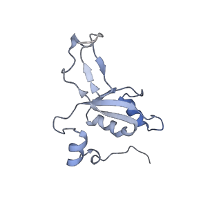 11392_6zsb_XZ_v4-1
Human mitochondrial ribosome in complex with mRNA and P-site tRNA