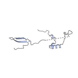 11392_6zsb_a_v4-1
Human mitochondrial ribosome in complex with mRNA and P-site tRNA