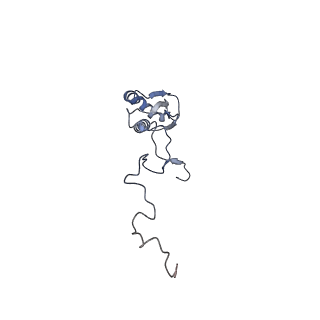 11392_6zsb_b_v4-1
Human mitochondrial ribosome in complex with mRNA and P-site tRNA