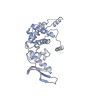 11392_6zsb_c_v1-1
Human mitochondrial ribosome in complex with mRNA and P-site tRNA