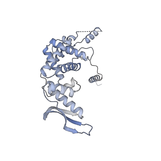 11392_6zsb_c_v4-1
Human mitochondrial ribosome in complex with mRNA and P-site tRNA