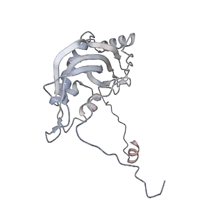 11392_6zsb_d_v1-1
Human mitochondrial ribosome in complex with mRNA and P-site tRNA