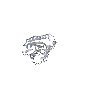 11392_6zsb_e_v4-1
Human mitochondrial ribosome in complex with mRNA and P-site tRNA