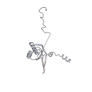 11392_6zsb_f_v4-1
Human mitochondrial ribosome in complex with mRNA and P-site tRNA