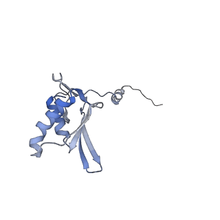 11392_6zsb_g_v4-1
Human mitochondrial ribosome in complex with mRNA and P-site tRNA