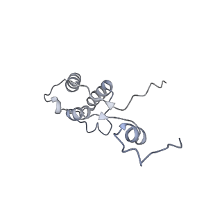 11392_6zsb_h_v1-1
Human mitochondrial ribosome in complex with mRNA and P-site tRNA
