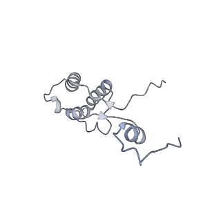 11392_6zsb_h_v4-1
Human mitochondrial ribosome in complex with mRNA and P-site tRNA