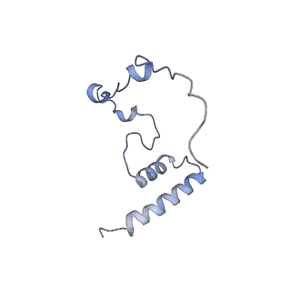 11392_6zsb_i_v1-1
Human mitochondrial ribosome in complex with mRNA and P-site tRNA