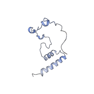 11392_6zsb_i_v4-1
Human mitochondrial ribosome in complex with mRNA and P-site tRNA