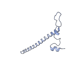 11392_6zsb_j_v4-1
Human mitochondrial ribosome in complex with mRNA and P-site tRNA