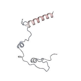 11392_6zsb_l_v4-1
Human mitochondrial ribosome in complex with mRNA and P-site tRNA