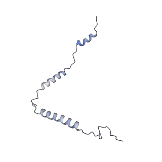 11392_6zsb_o_v4-1
Human mitochondrial ribosome in complex with mRNA and P-site tRNA