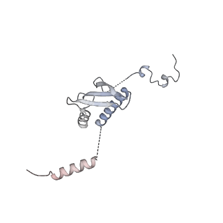 11392_6zsb_p_v1-1
Human mitochondrial ribosome in complex with mRNA and P-site tRNA