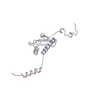 11392_6zsb_p_v4-1
Human mitochondrial ribosome in complex with mRNA and P-site tRNA