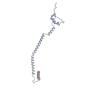 11392_6zsb_q_v1-1
Human mitochondrial ribosome in complex with mRNA and P-site tRNA