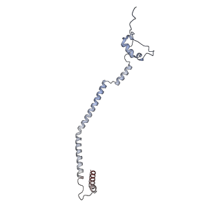 11392_6zsb_q_v3-0
Human mitochondrial ribosome in complex with mRNA and P-site tRNA