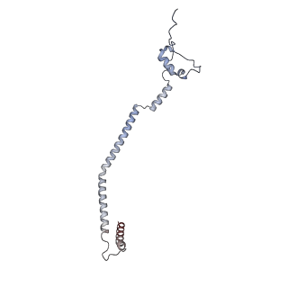 11392_6zsb_q_v4-1
Human mitochondrial ribosome in complex with mRNA and P-site tRNA