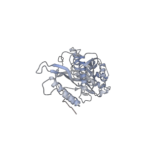 11392_6zsb_s_v1-1
Human mitochondrial ribosome in complex with mRNA and P-site tRNA