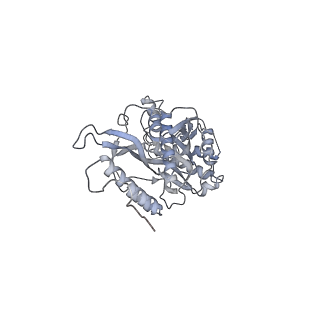 11392_6zsb_s_v2-0
Human mitochondrial ribosome in complex with mRNA and P-site tRNA