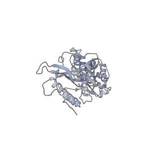 11392_6zsb_s_v4-0
Human mitochondrial ribosome in complex with mRNA and P-site tRNA