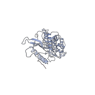 11392_6zsb_s_v4-1
Human mitochondrial ribosome in complex with mRNA and P-site tRNA