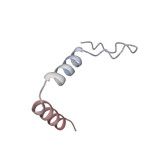 11392_6zsb_t1_v4-1
Human mitochondrial ribosome in complex with mRNA and P-site tRNA