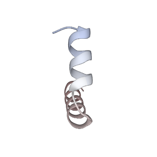 11392_6zsb_t3_v4-1
Human mitochondrial ribosome in complex with mRNA and P-site tRNA