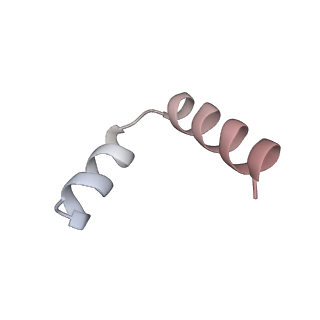 11392_6zsb_t4_v4-1
Human mitochondrial ribosome in complex with mRNA and P-site tRNA