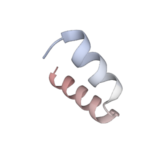 11392_6zsb_t5_v4-1
Human mitochondrial ribosome in complex with mRNA and P-site tRNA