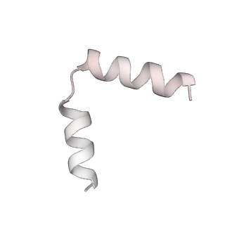 11392_6zsb_t6_v4-1
Human mitochondrial ribosome in complex with mRNA and P-site tRNA