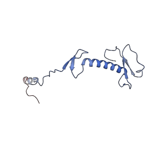 11393_6zsc_0_v1-0
Human mitochondrial ribosome in complex with E-site tRNA
