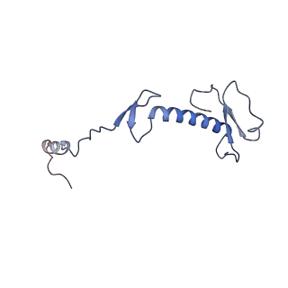 11393_6zsc_0_v4-0
Human mitochondrial ribosome in complex with E-site tRNA
