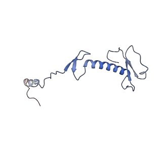 11393_6zsc_0_v4-1
Human mitochondrial ribosome in complex with E-site tRNA