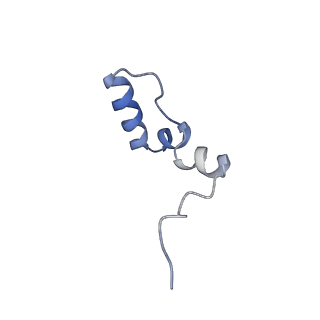 11393_6zsc_2_v1-0
Human mitochondrial ribosome in complex with E-site tRNA