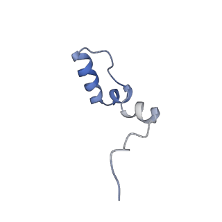 11393_6zsc_2_v4-1
Human mitochondrial ribosome in complex with E-site tRNA