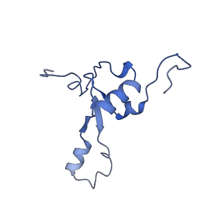 11393_6zsc_3_v2-0
Human mitochondrial ribosome in complex with E-site tRNA