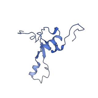 11393_6zsc_3_v4-1
Human mitochondrial ribosome in complex with E-site tRNA