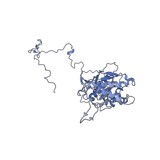 11393_6zsc_5_v1-0
Human mitochondrial ribosome in complex with E-site tRNA