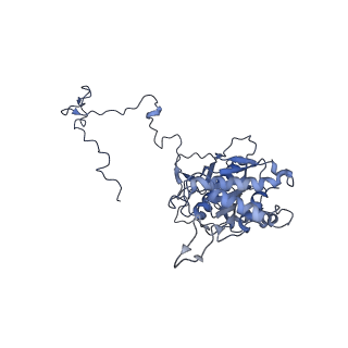 11393_6zsc_5_v4-1
Human mitochondrial ribosome in complex with E-site tRNA