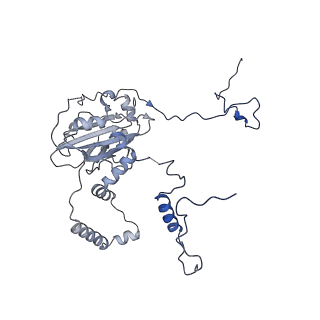 11393_6zsc_6_v1-0
Human mitochondrial ribosome in complex with E-site tRNA
