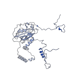 11393_6zsc_6_v4-1
Human mitochondrial ribosome in complex with E-site tRNA