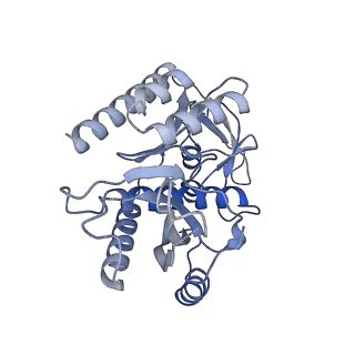 11393_6zsc_7_v1-0
Human mitochondrial ribosome in complex with E-site tRNA