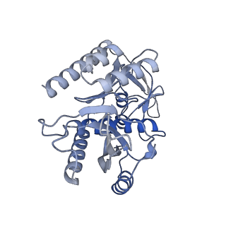 11393_6zsc_7_v2-0
Human mitochondrial ribosome in complex with E-site tRNA