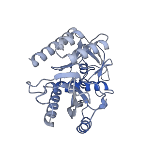 11393_6zsc_7_v4-1
Human mitochondrial ribosome in complex with E-site tRNA