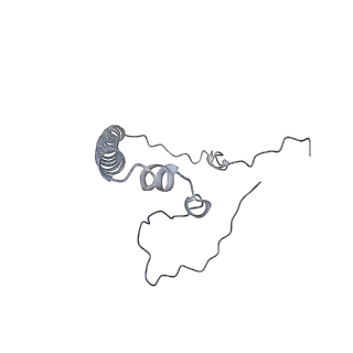 11393_6zsc_8_v4-1
Human mitochondrial ribosome in complex with E-site tRNA