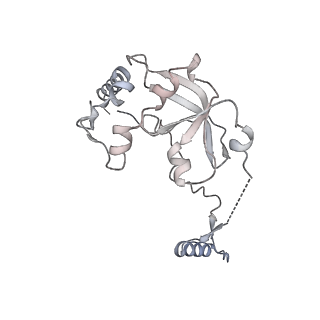 11393_6zsc_A0_v1-0
Human mitochondrial ribosome in complex with E-site tRNA